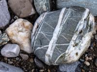 Grauer Stein mit weißer End- und Mittenmaserung sowie feiner Quermaserung